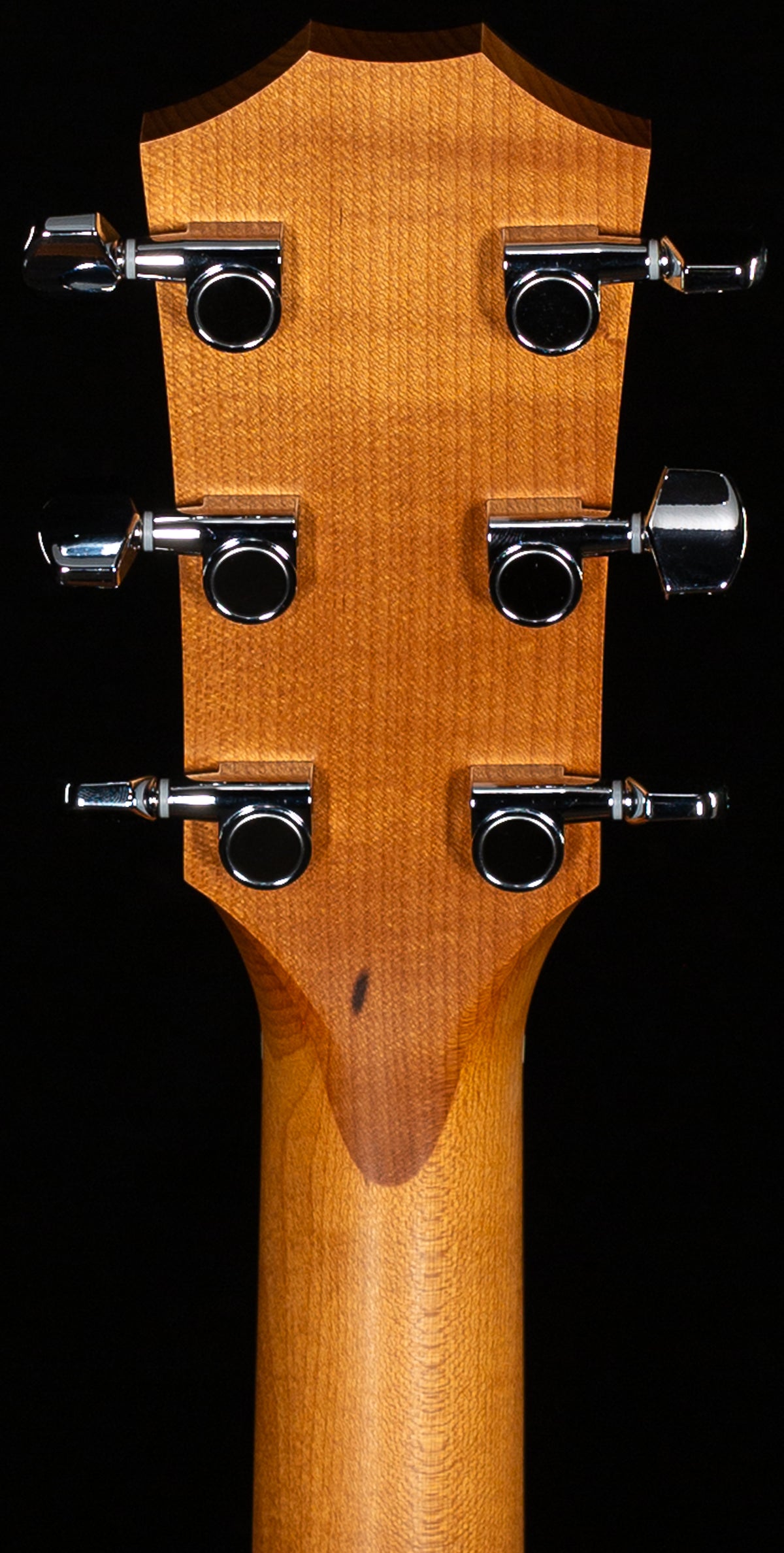 Taylor 114ce Sapele/Spruce (202)