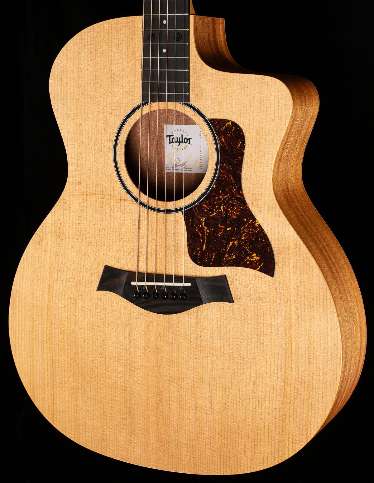 Taylor Proto,14ce LTD,Sapele/Spruce Torrified ESB (437)