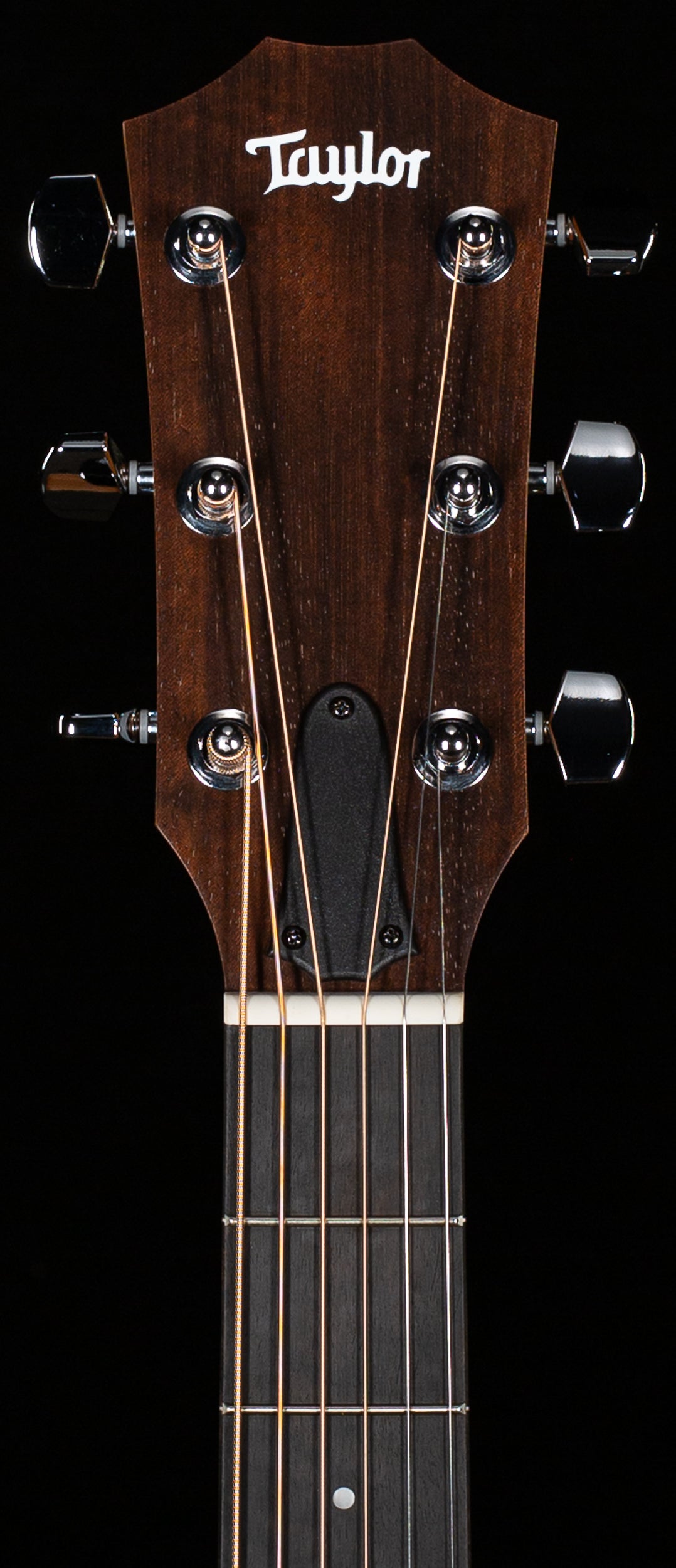 Taylor Proto,14ce LTD,Sapele/Spruce Torrified ESB (437)