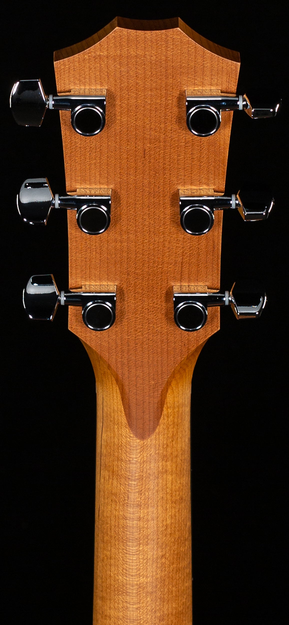 Taylor 14ce LTD Sapele/Spruce Torrified ESB (342)