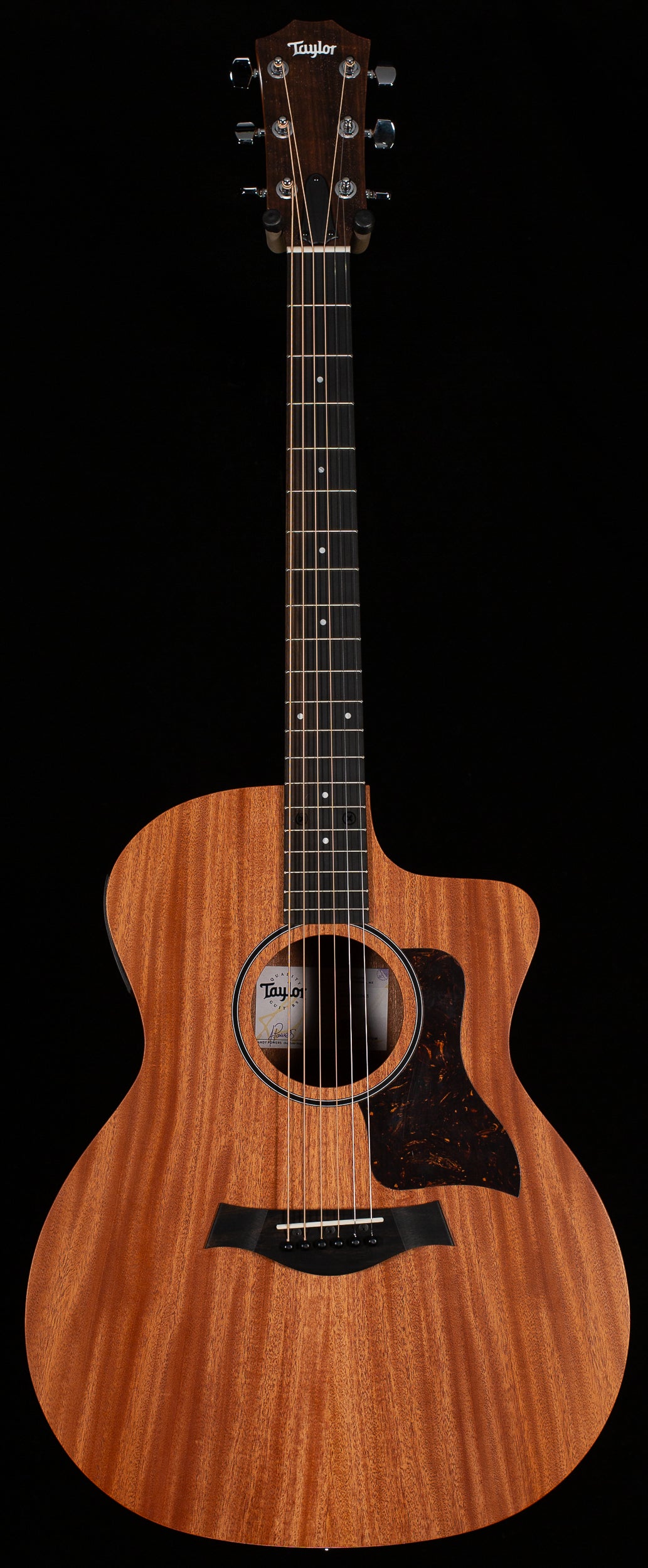 Taylor 24ce LTD Sapele/Mahogany ESB (343)