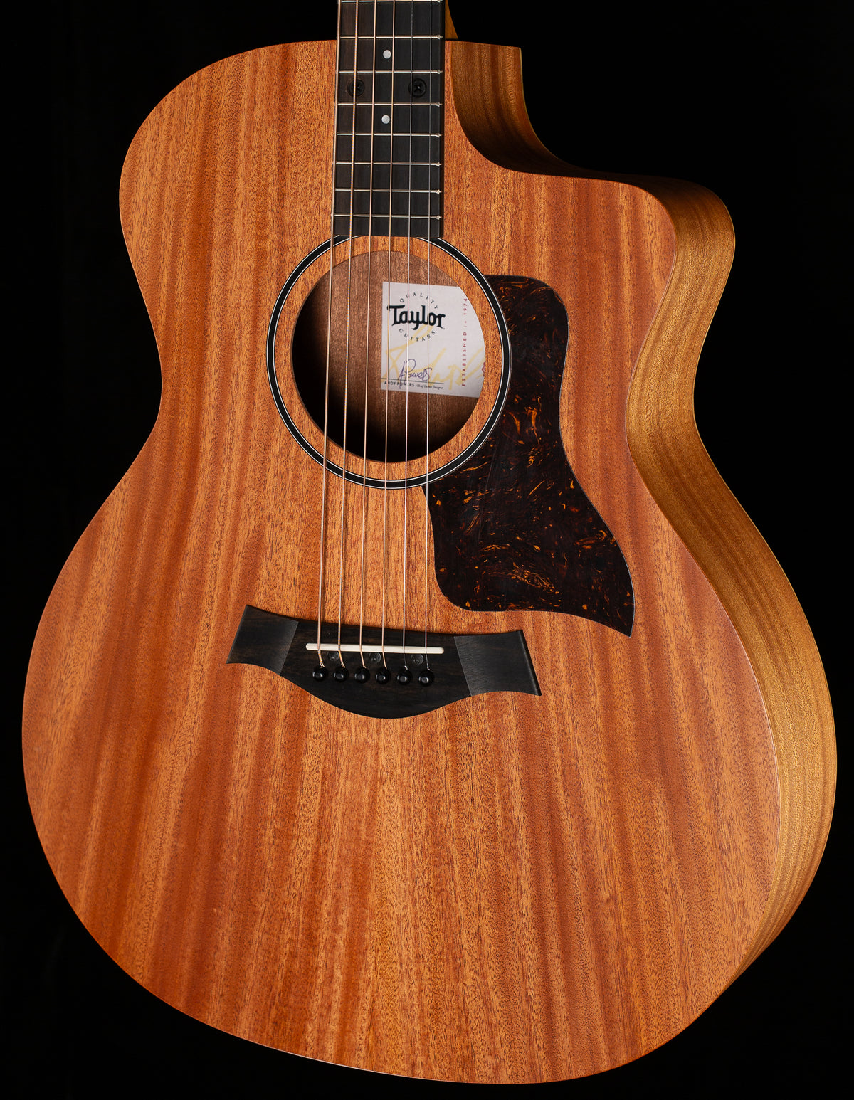 Taylor 24ce LTD Sapele/Mahogany ESB (343)