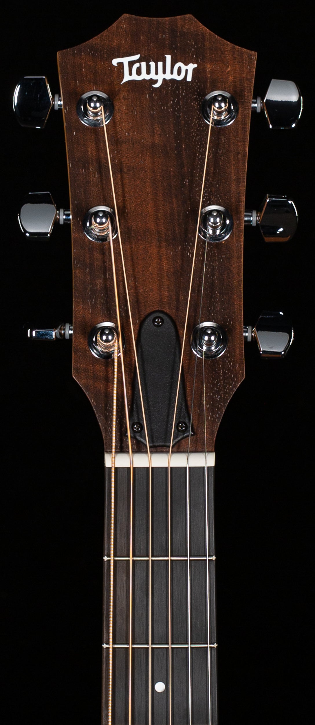 Taylor 24ce LTD Sapele/Mahogany ESB (343)