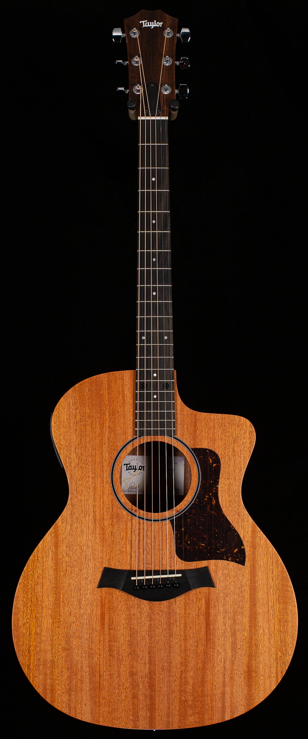 Taylor 24ce LTD Sapele/Mahogany ESB (443)