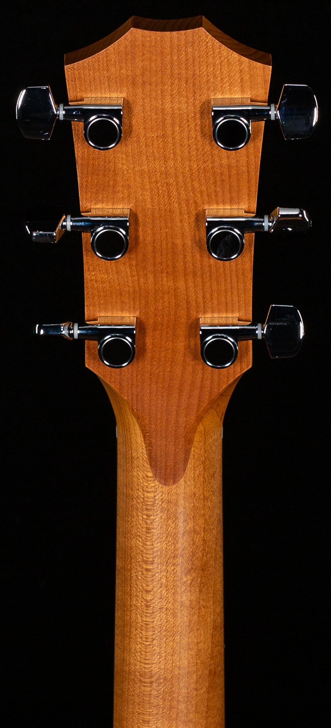 Taylor 14ce LTD Sapele/Spruce Torrified ESB (442)