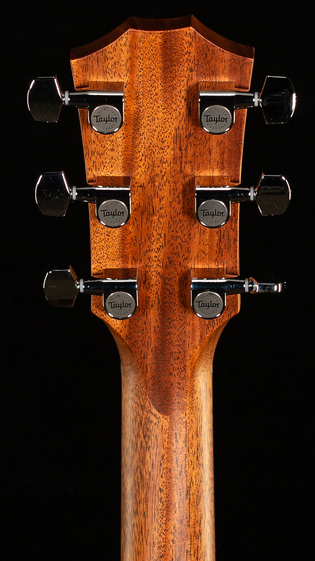 Taylor 414ce Studio SEB Top (157)