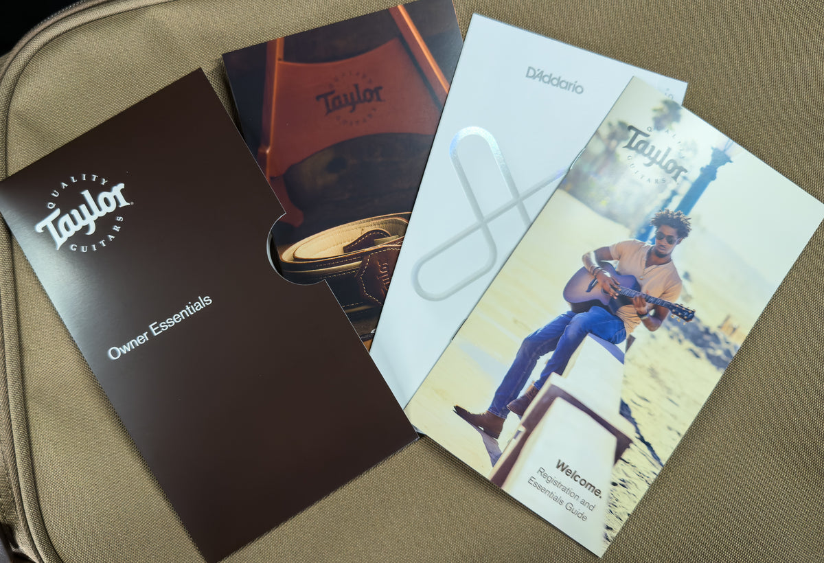 Taylor GS Mini-e Special Edition Paisley Burst (288)