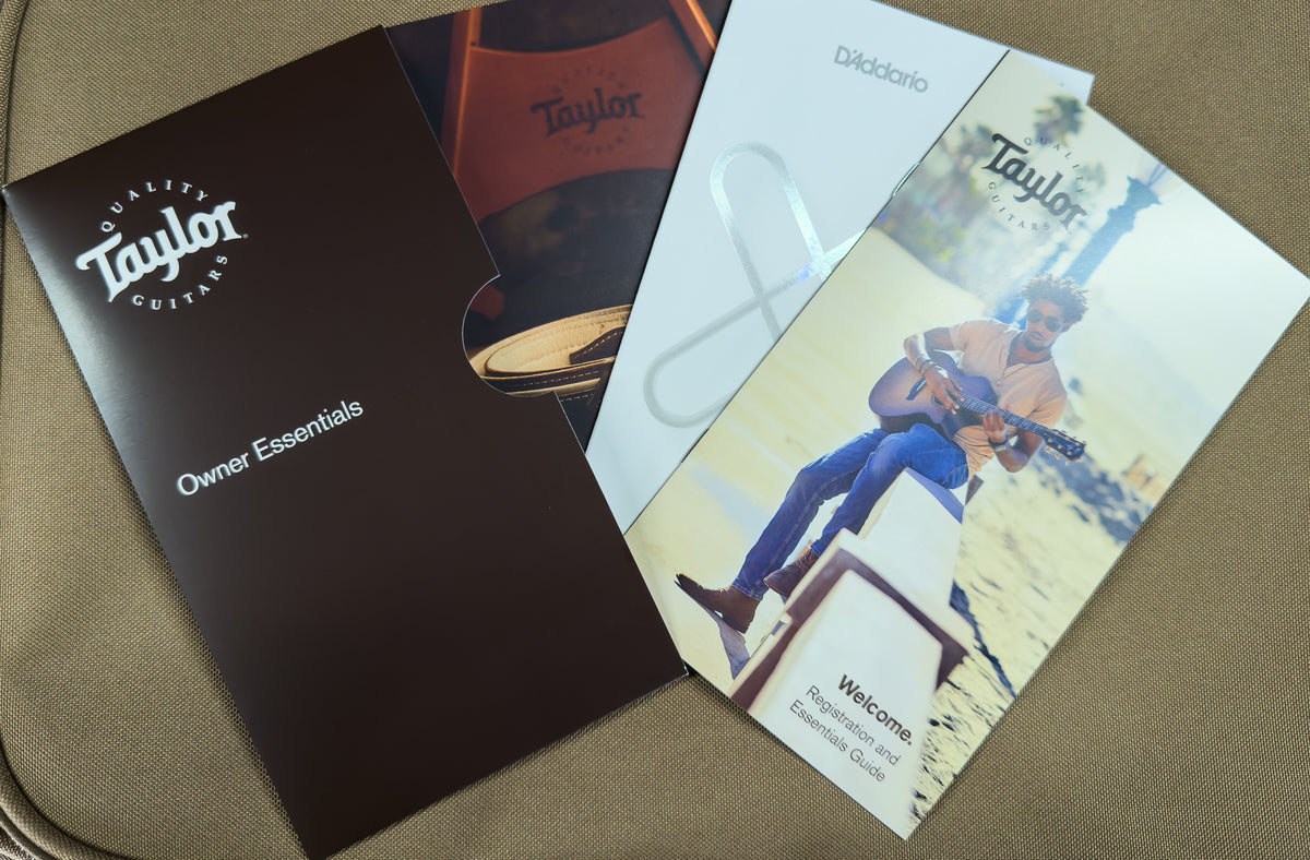 Taylor GS Mini-e Special Edition BlueBurst (303)