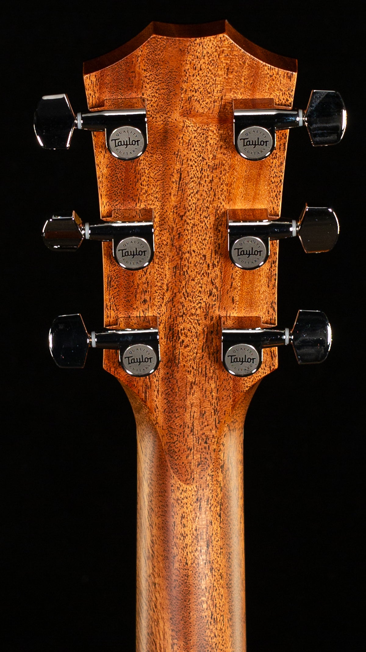 Taylor 314ce Studio (309)