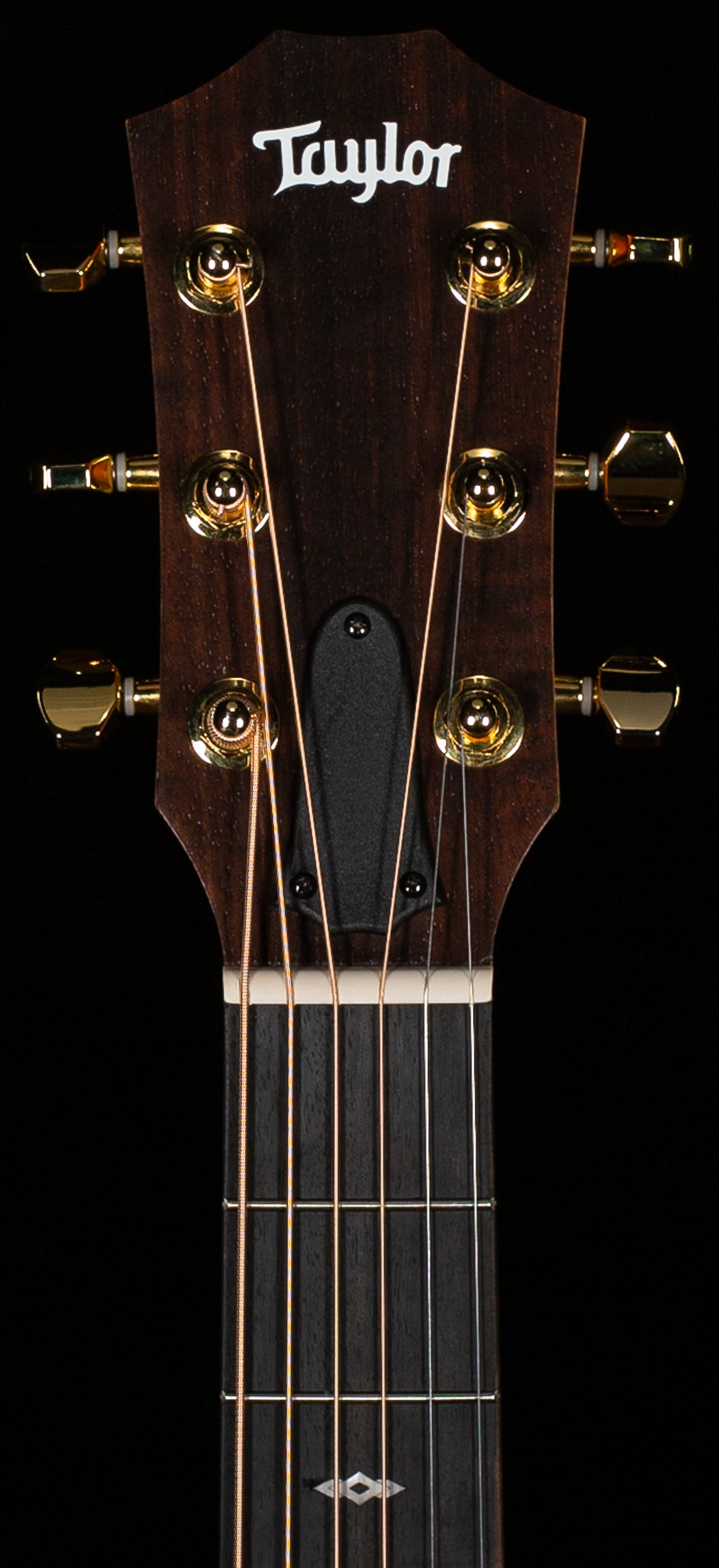 Taylor GS Mini-e Rosewood SB LTD 50th Anniversary (270)