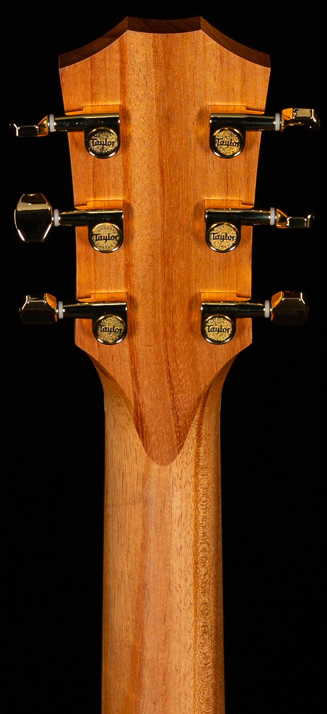 Taylor GS Mini-e Rosewood SB LTD 50th Anniversary (270)