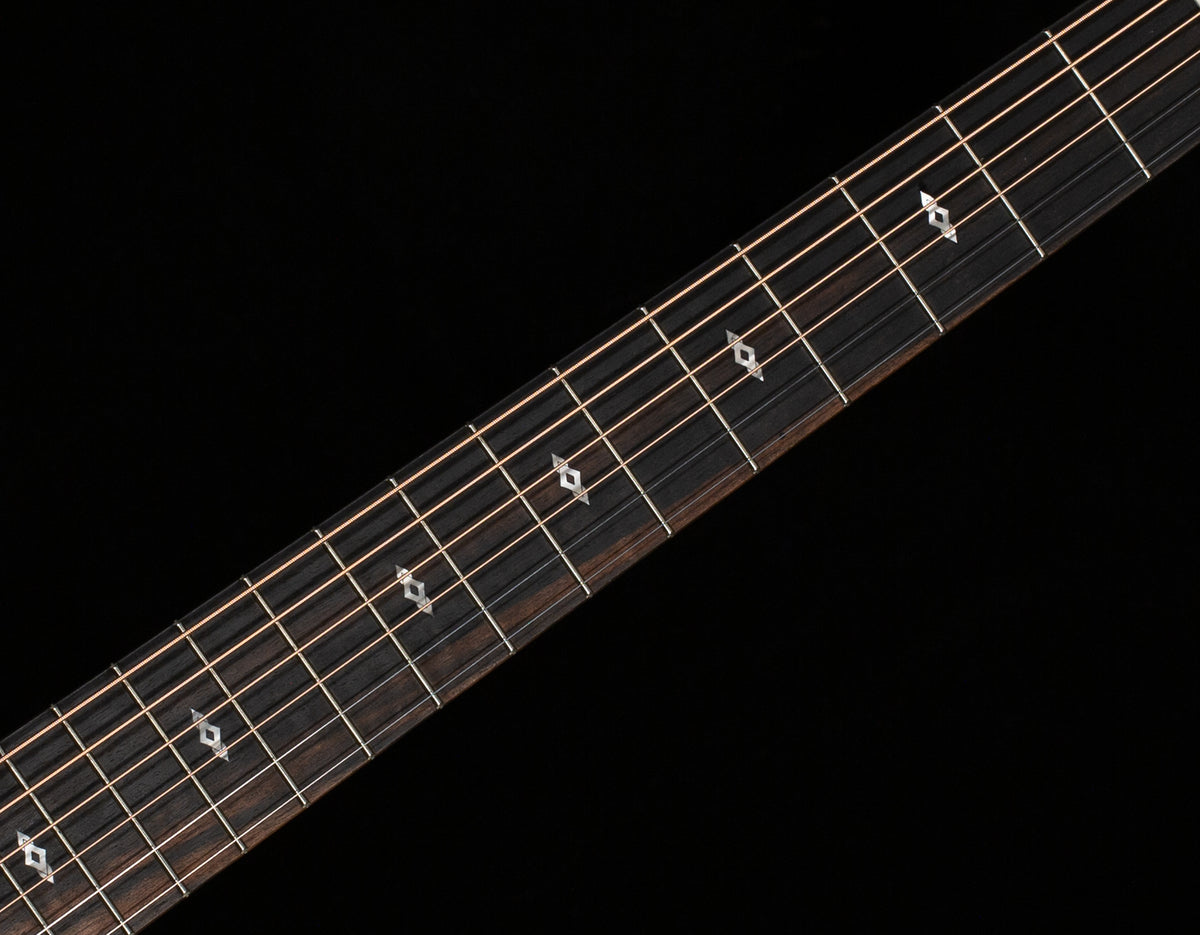 Taylor GS Mini-e Rosewood SB LTD 50th Anniversary (270)