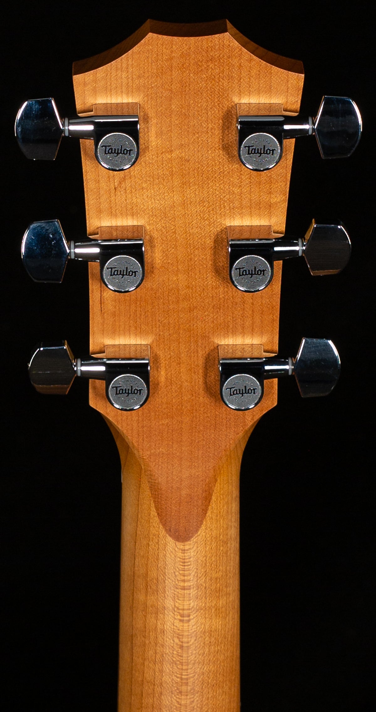 Taylor Academy 20e (284)