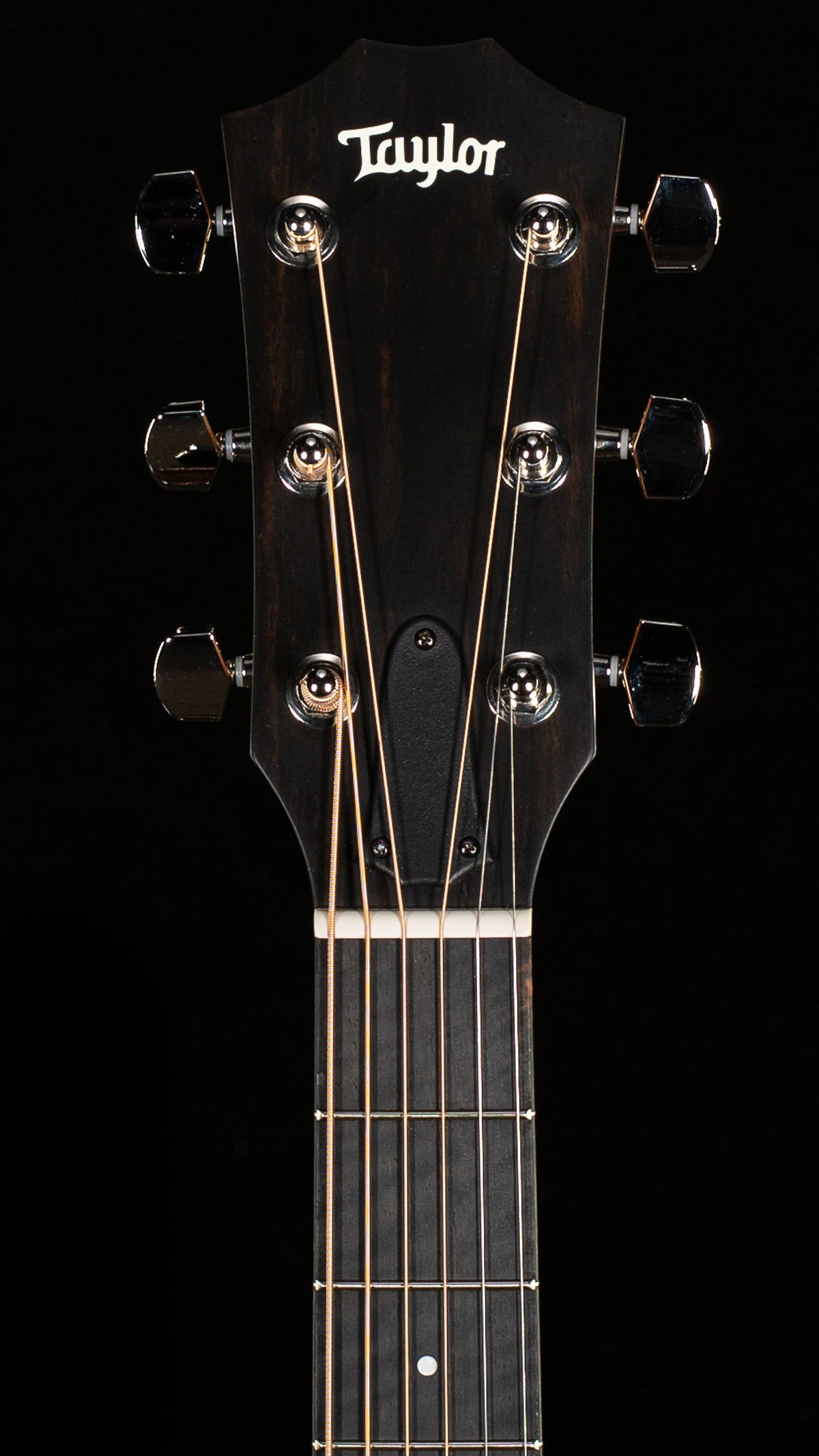 Taylor 414ce Studio (208)