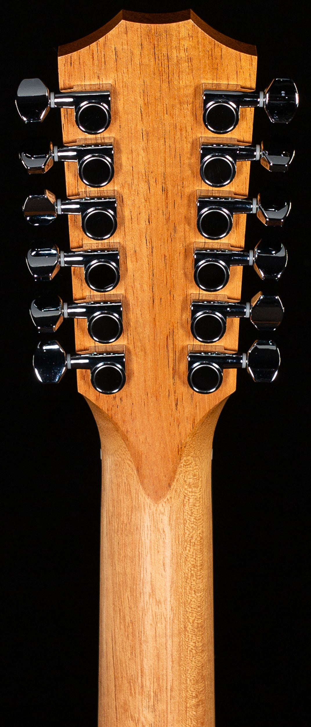 Taylor 150ce Sapele/Spruce (379)