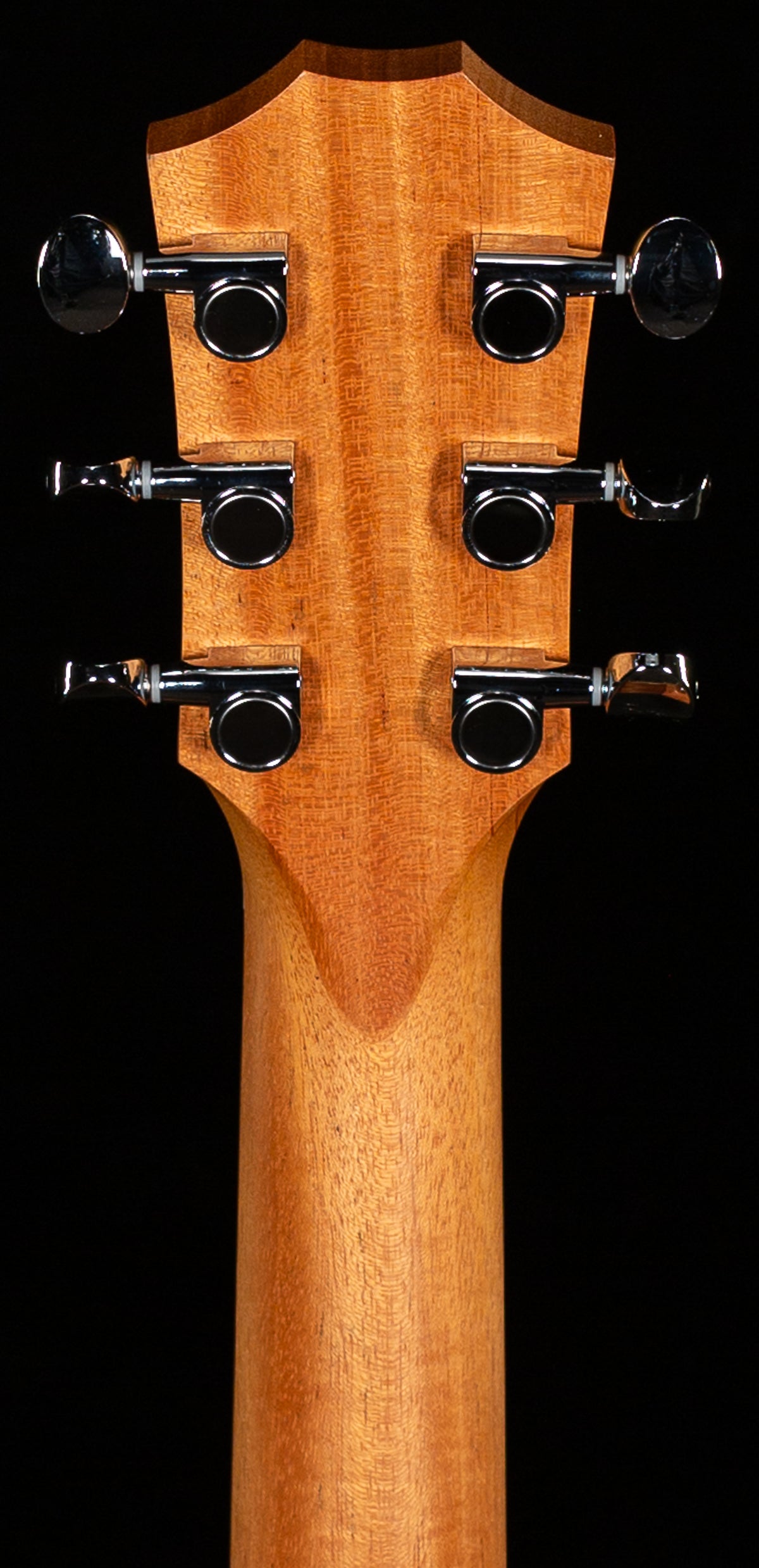 Taylor GS Mini Mahogany (008)