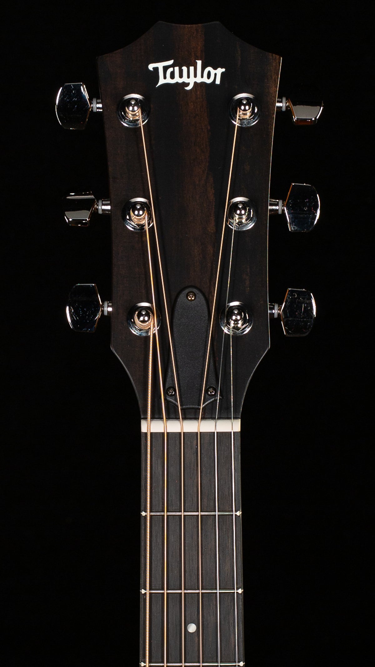 Taylor 314ce Studio Sapele/Sitka (395)