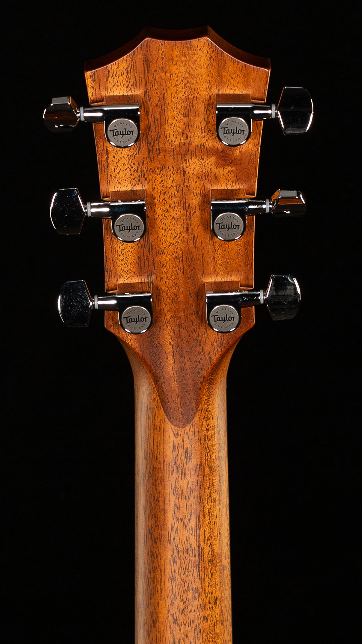 Taylor 314ce Studio Sapele/Sitka (395)