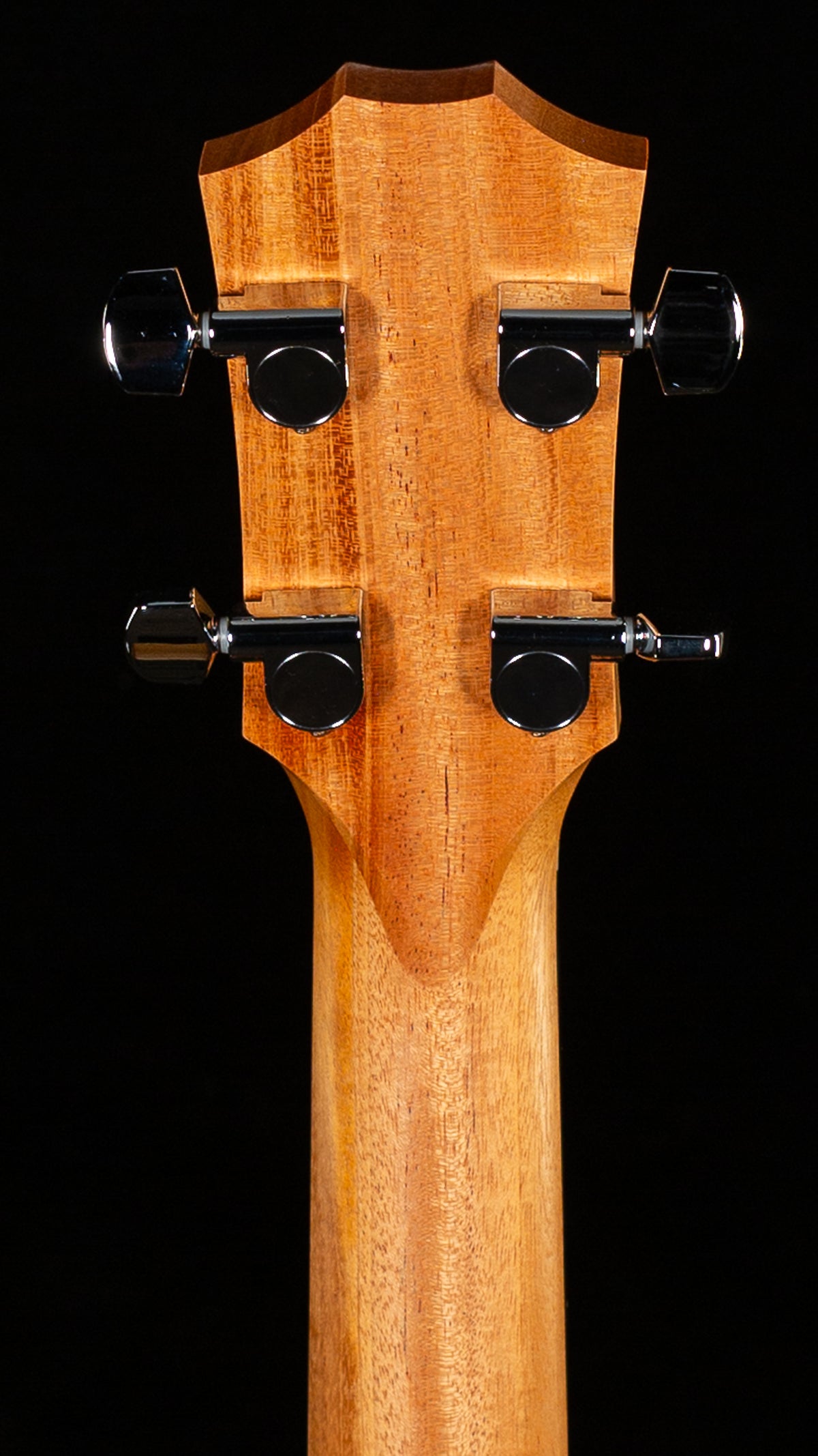 Taylor GS Mini-e Koa Bass (081)