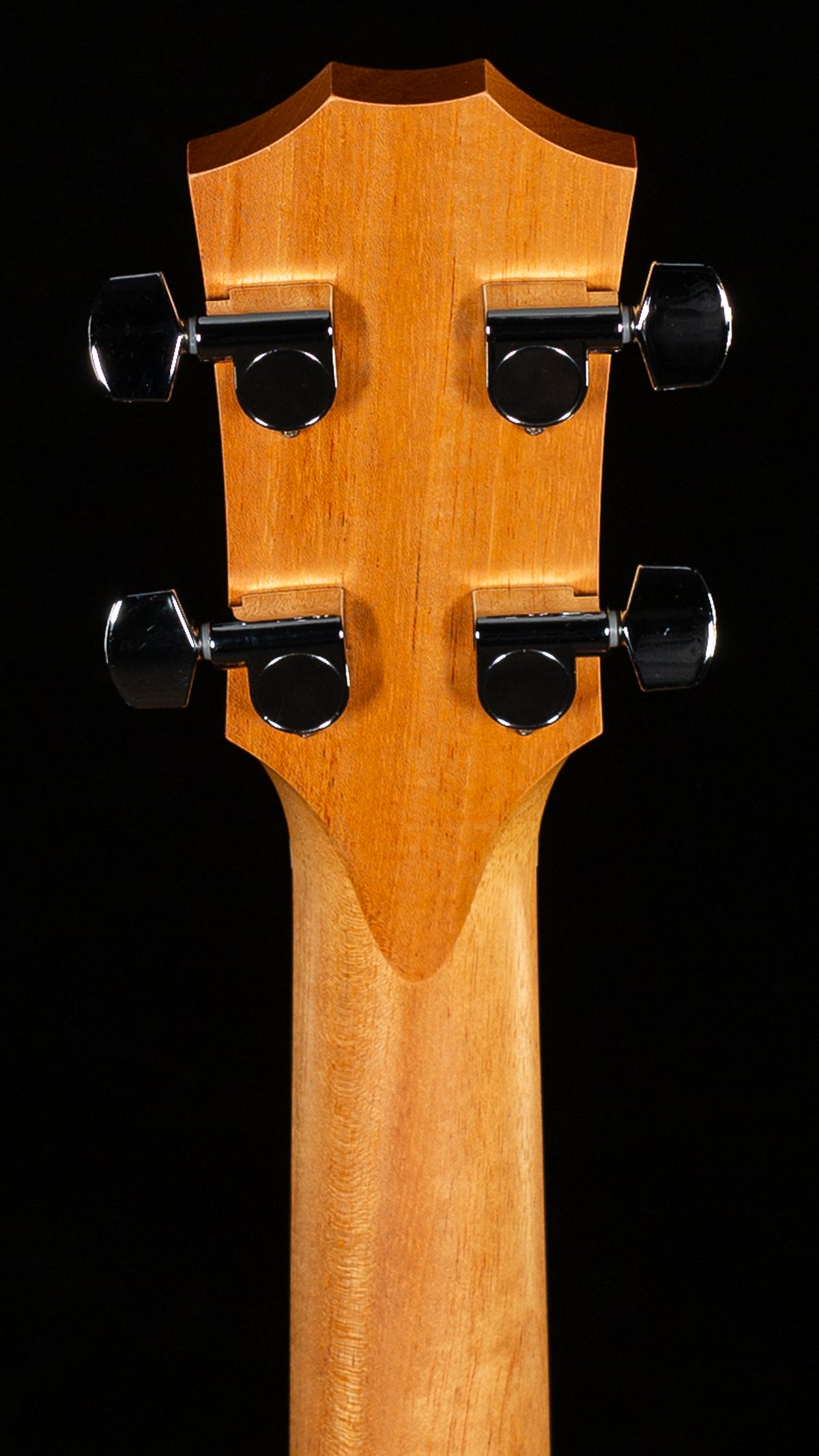 Taylor GS Mini-e Bass Sapele/Sitka (246)