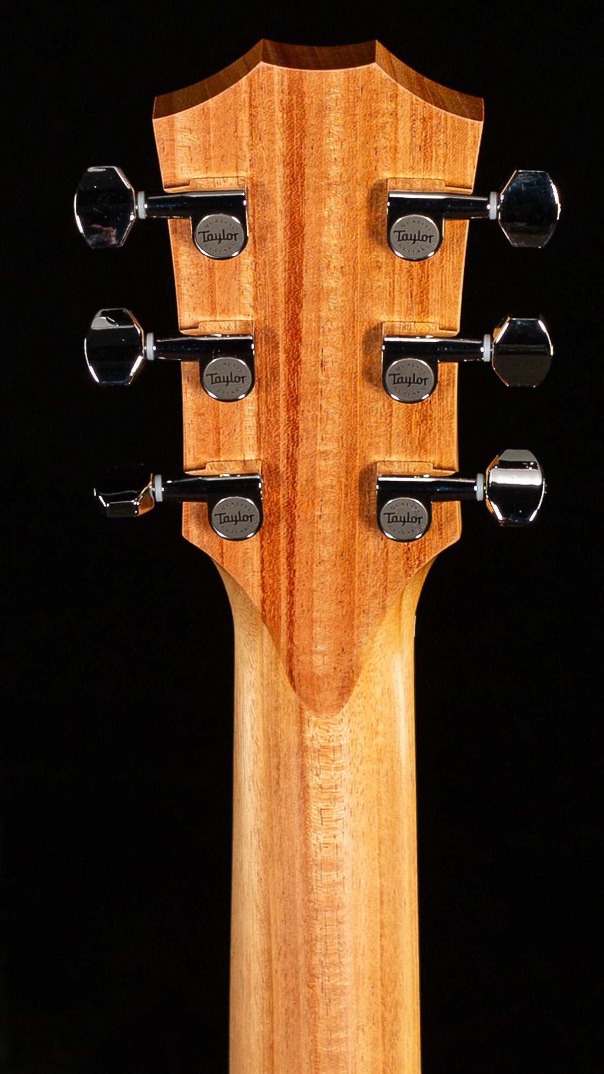 Taylor GS Mini-e Rosewood Plus (393)