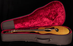 Taylor GS Mini-e Rosewood Plus (393)