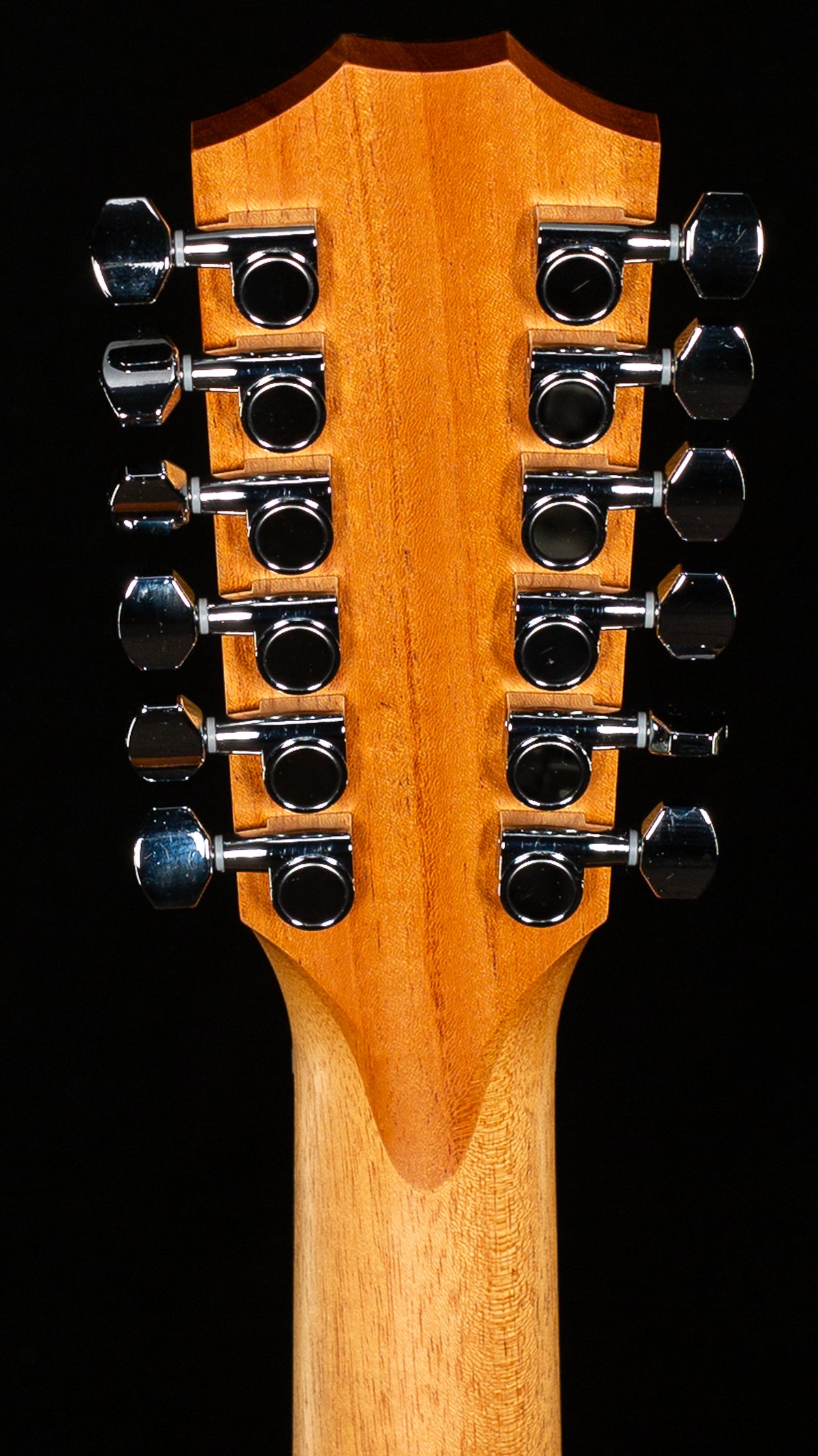 Taylor 150ce Sapele/Spruce (532)