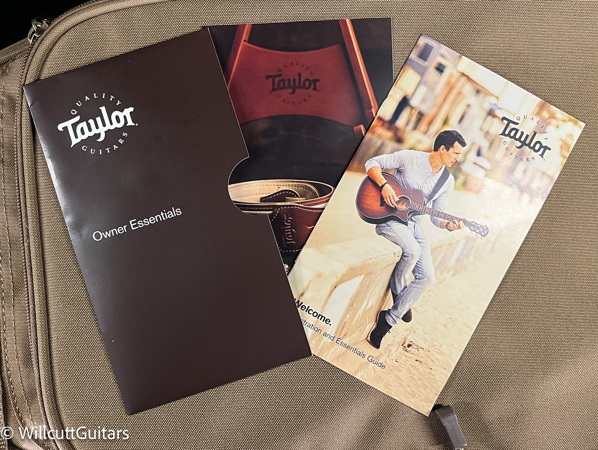 Taylor GS Mini-e Mahogany (221)