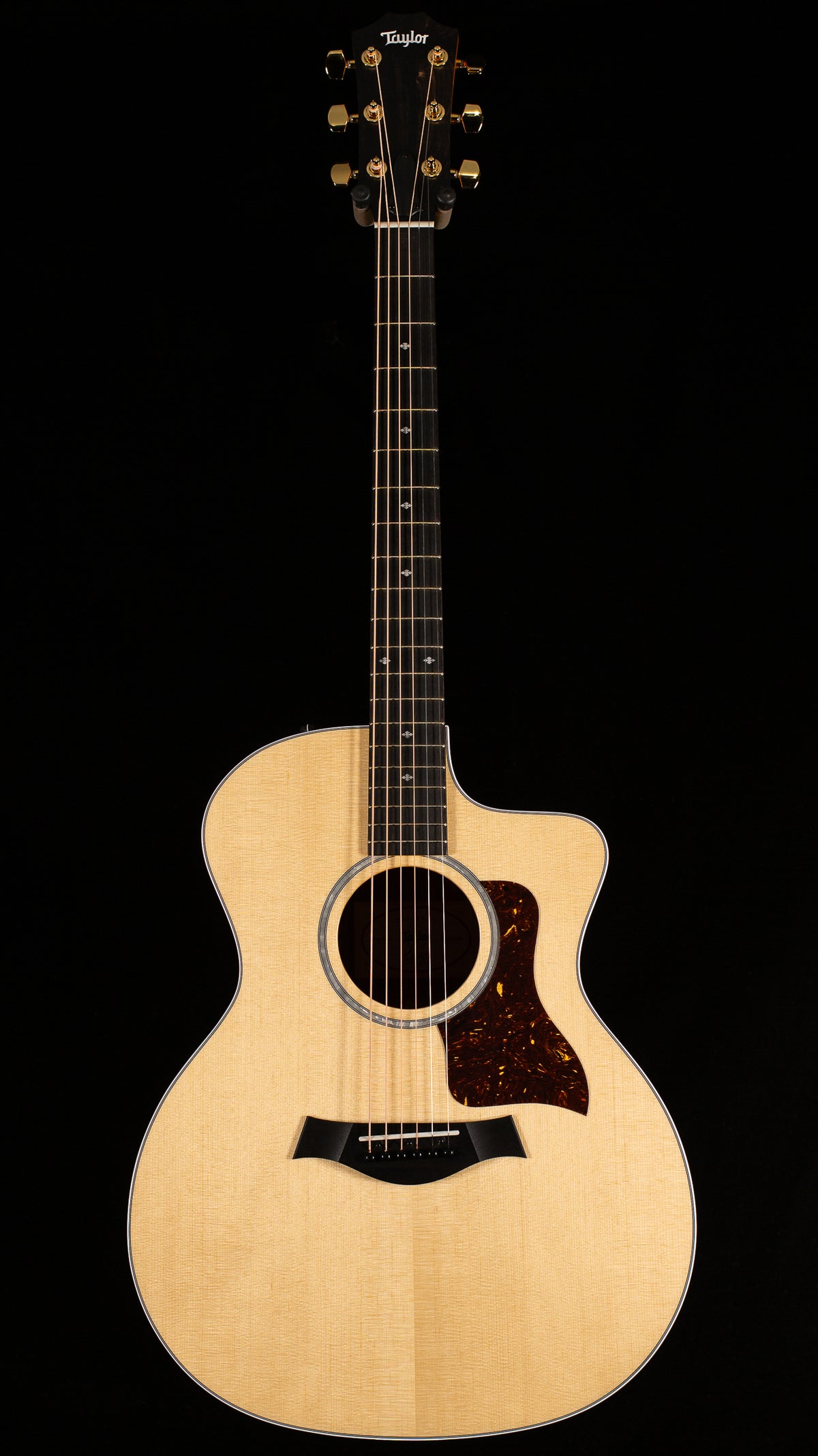 2023 Taylor 214ce DLX ES2(236)