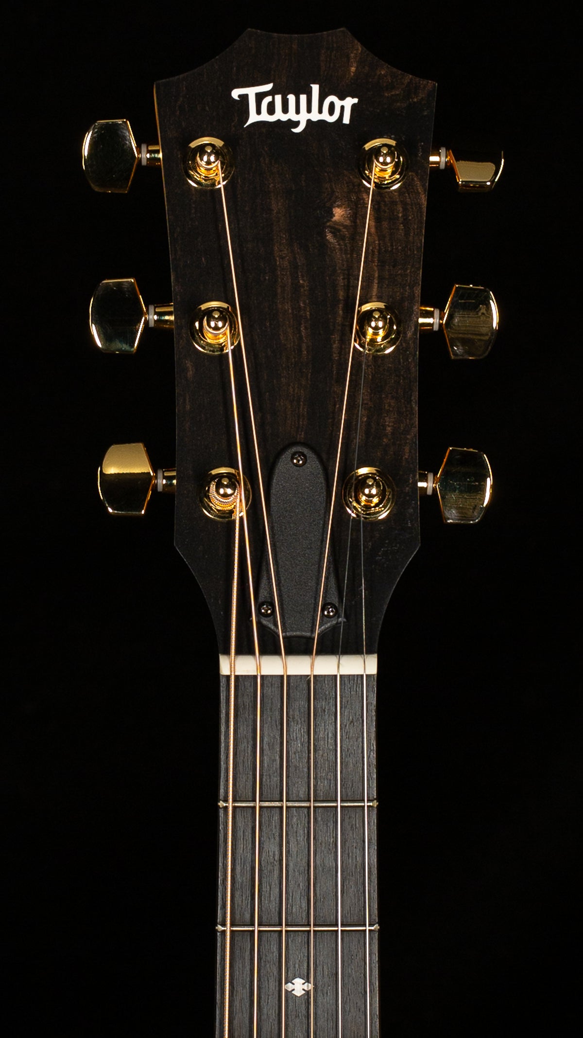 2023 Taylor 214ce DLX ES2(236)