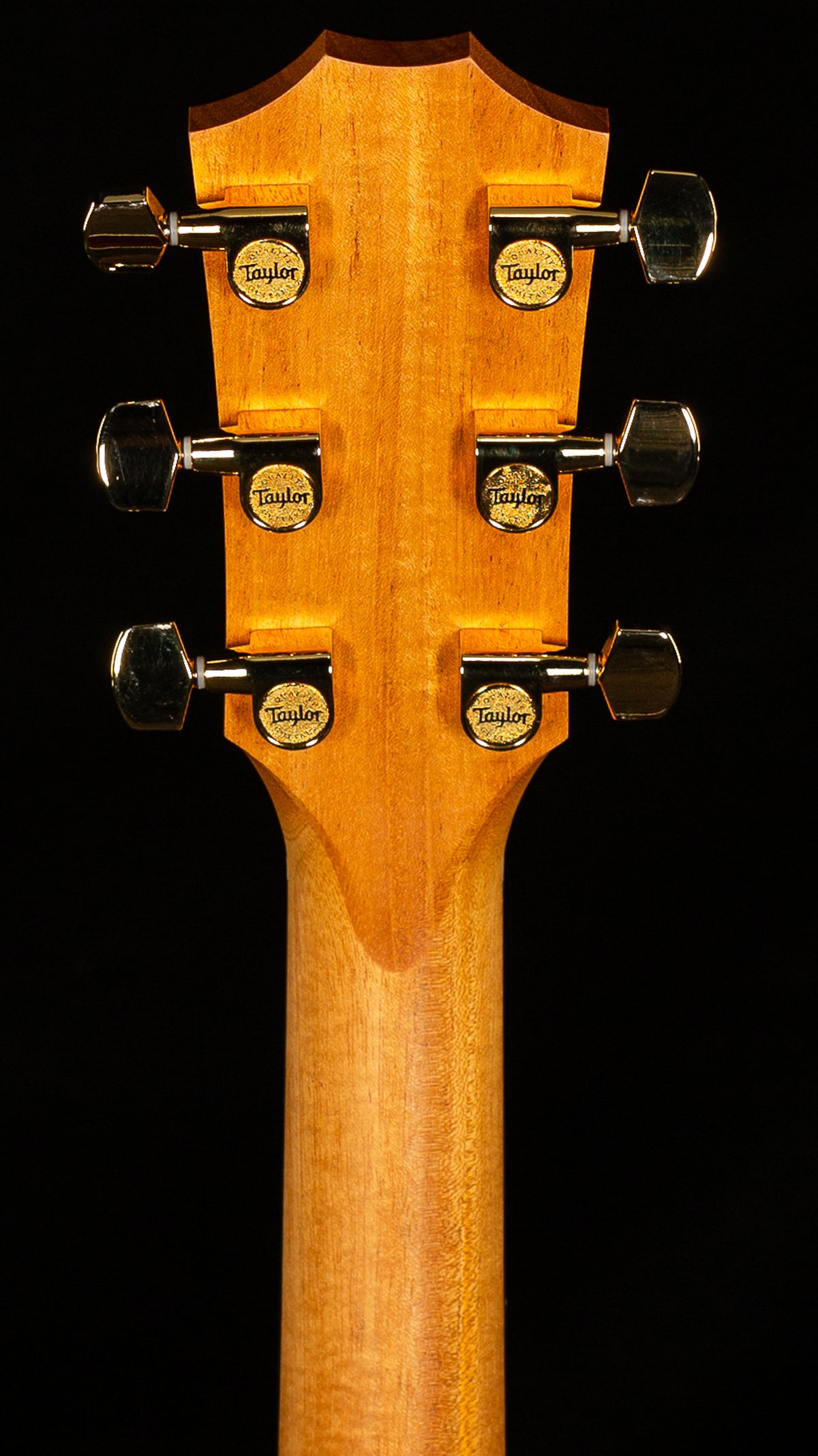 2023 Taylor 214ce DLX ES2(236)
