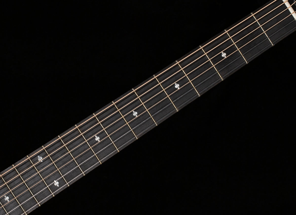 2023 Taylor 214ce DLX ES2(236)