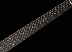 2023 Taylor 214ce DLX ES2(236)