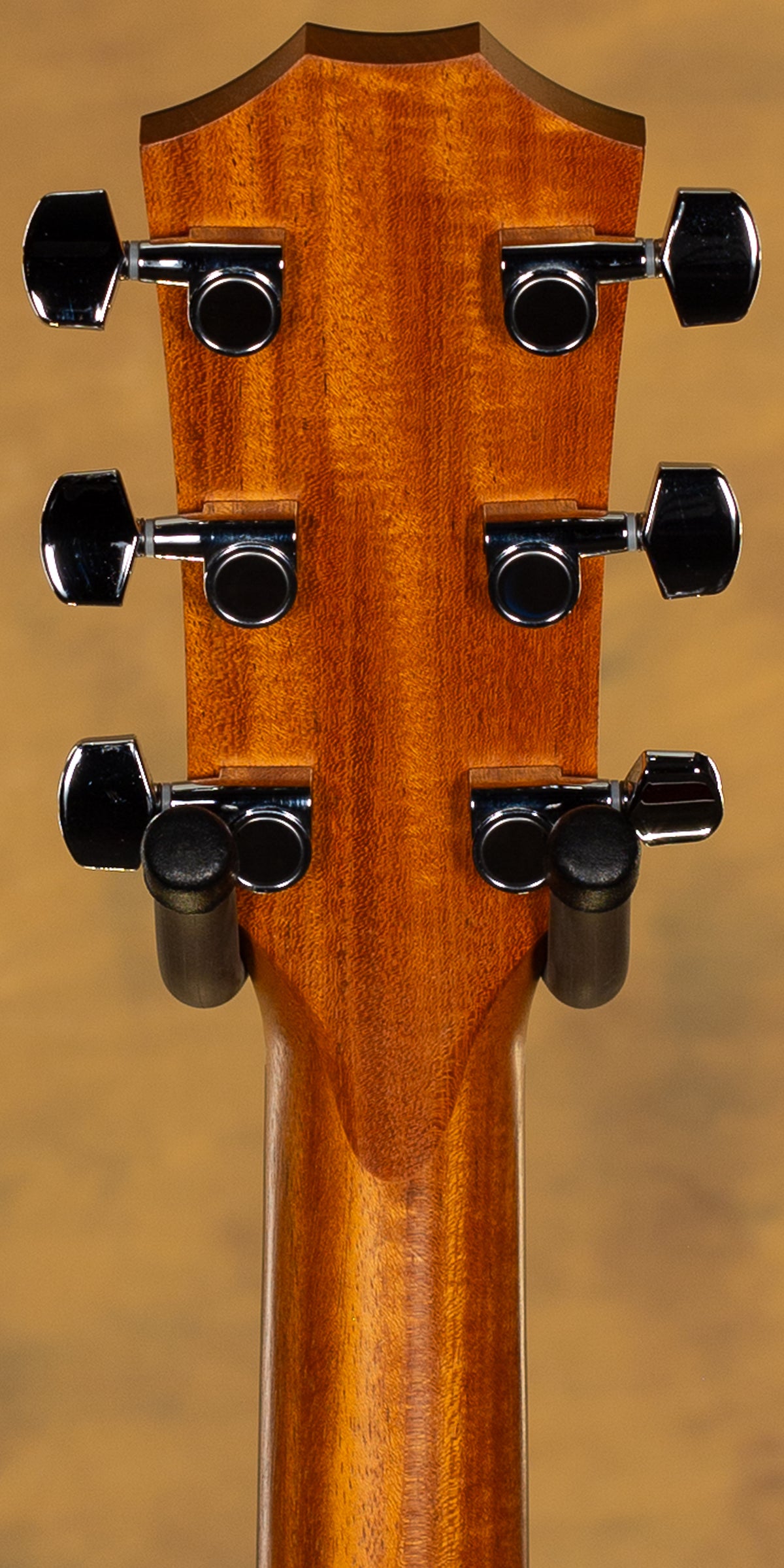 2022 Taylor 214ce Rosewood Acoustic Electric Guitar