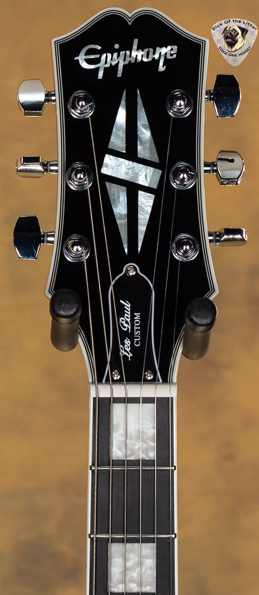2022 Epiphone Artist Adam Jones Les Paul Custom Art Collection Mark Ryden's "The Veil of Bees" Antique Silverburst (223)