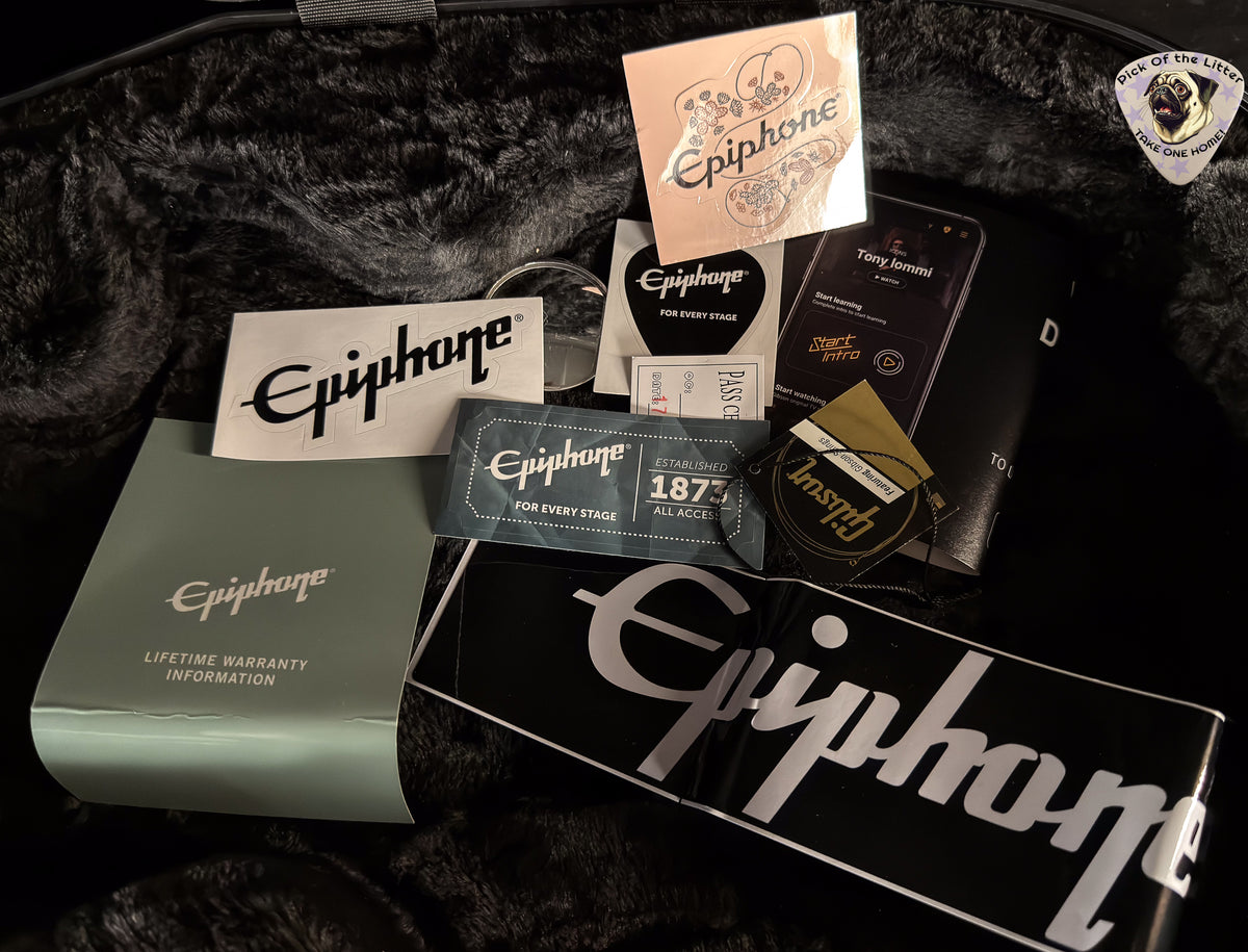 2022 Epiphone Artist Adam Jones Les Paul Custom Art Collection Mark Ryden's "The Veil of Bees" Antique Silverburst (223)