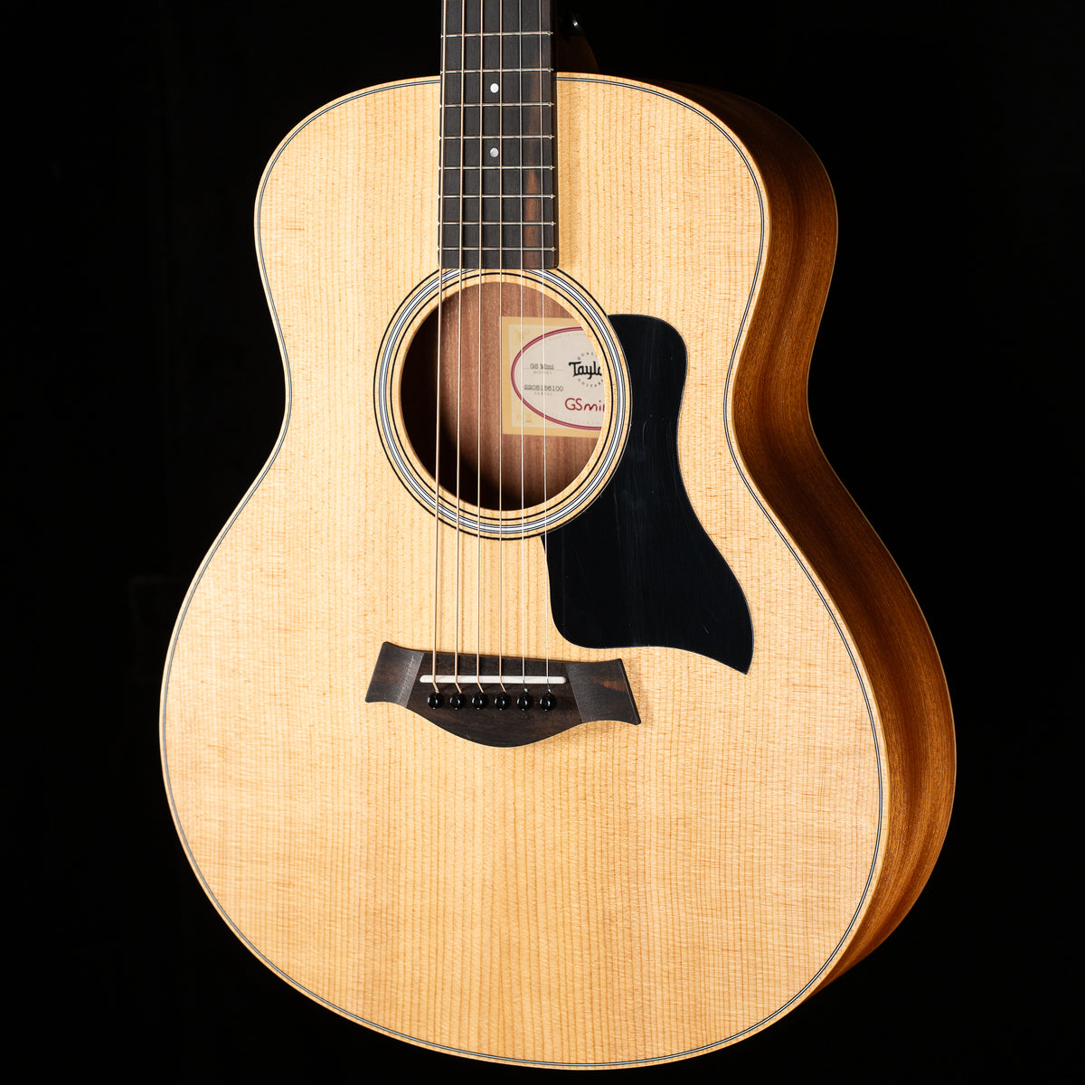Taylor GS Mini Sapele/Spruce (100)
