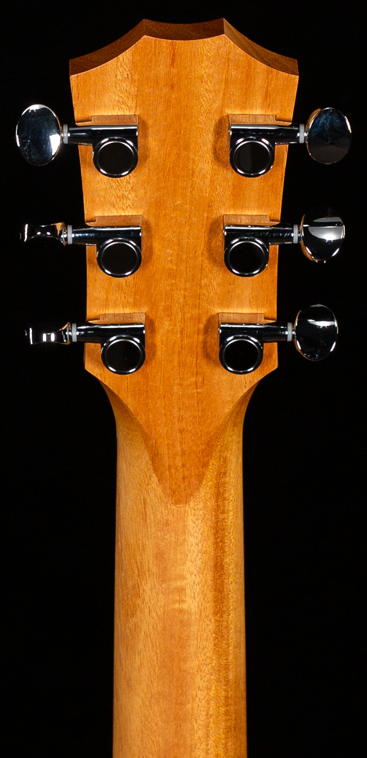 Taylor GS Mini-e Mahogany (301)