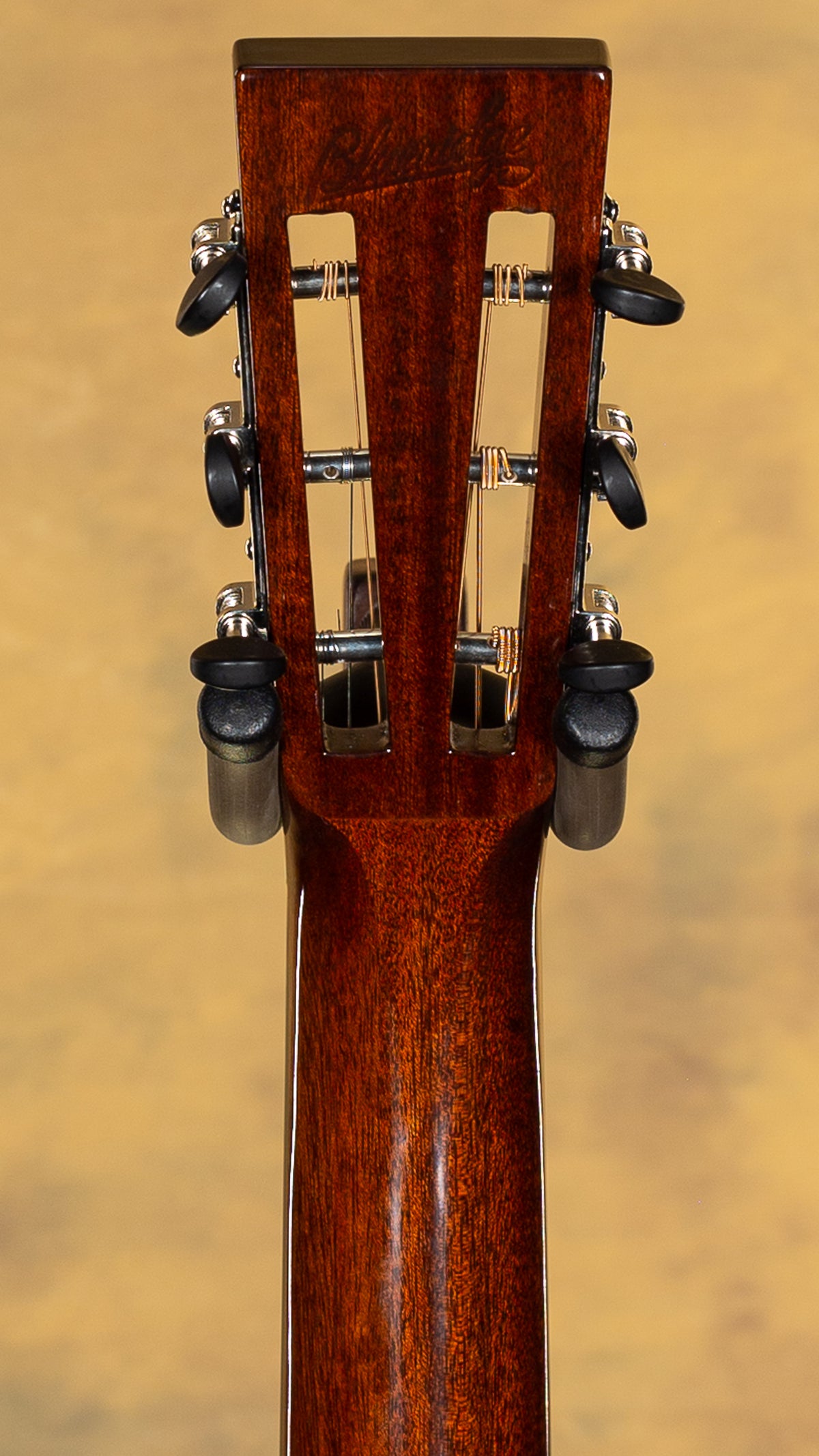 2022 Blueridge BR-341