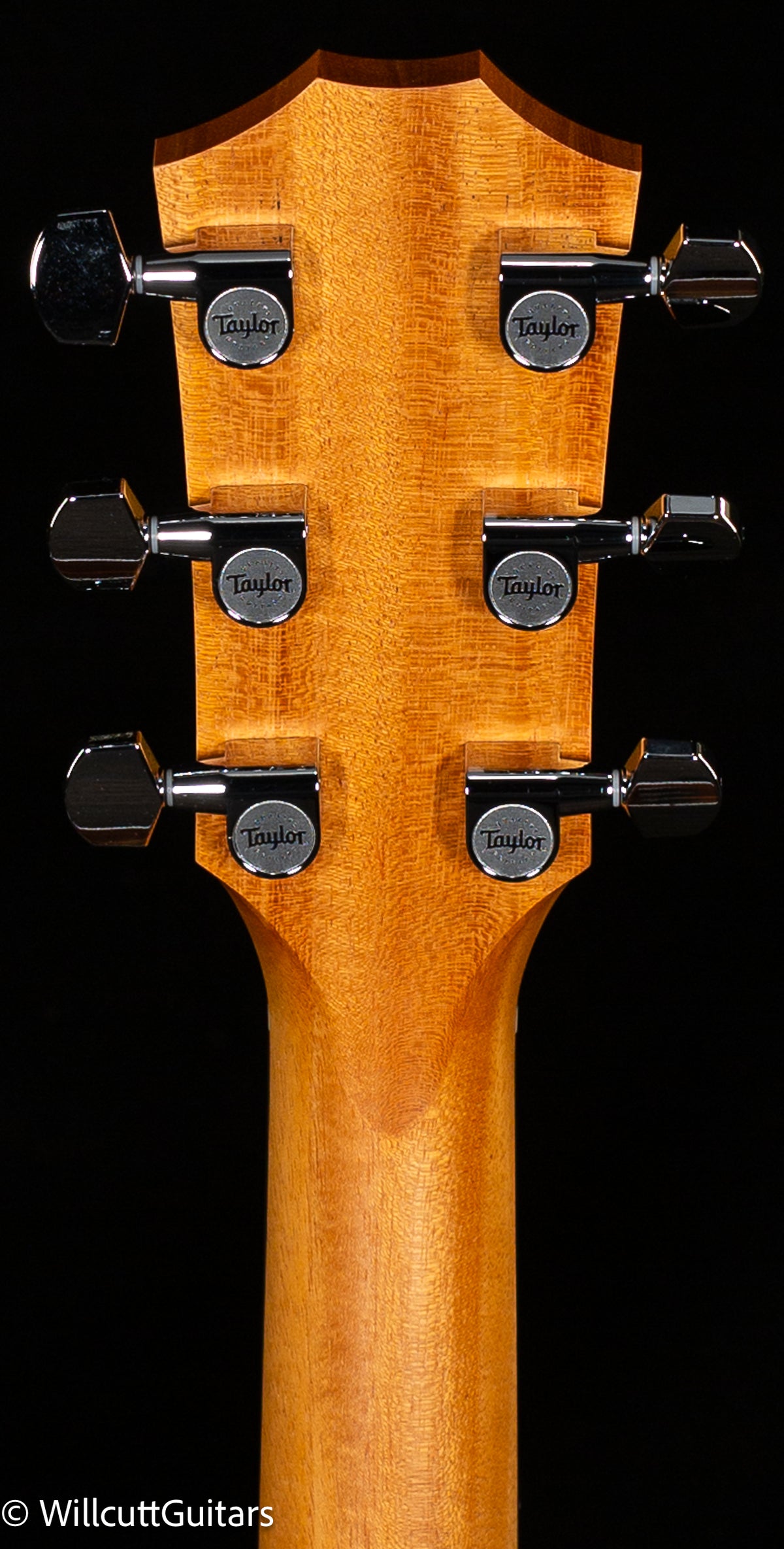 Taylor 212ce Grand Concert Rosewood/Spruce (358)