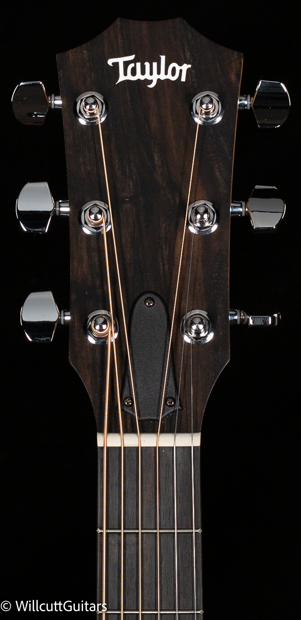 Taylor 114ce Special Edition Walnut/Sitka Gloss (053)