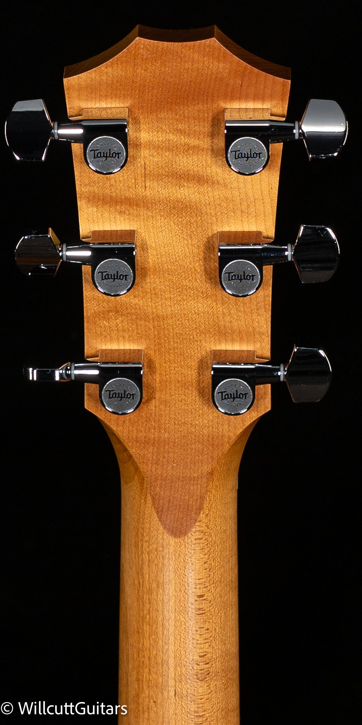 Taylor 114ce Special Edition Walnut/Sitka Gloss (053)