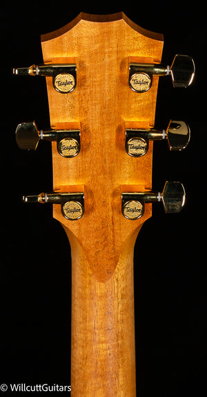 Taylor 222ce-K DLX (165)