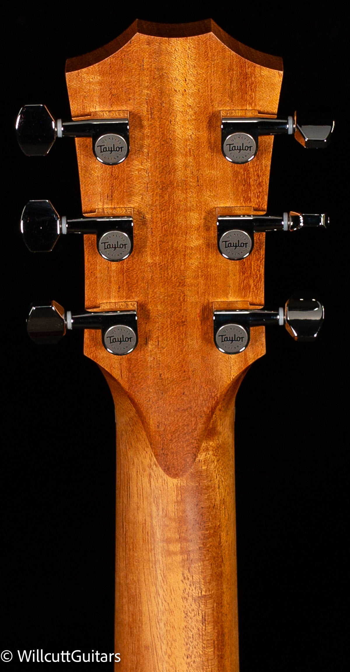Taylor GS Mini-e Rosewood Plus (337)