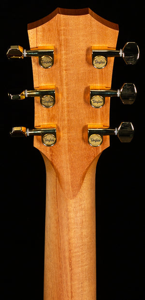 Taylor GS Mini-e Rosewood LTD Natural Top 50th Anniversary (038)