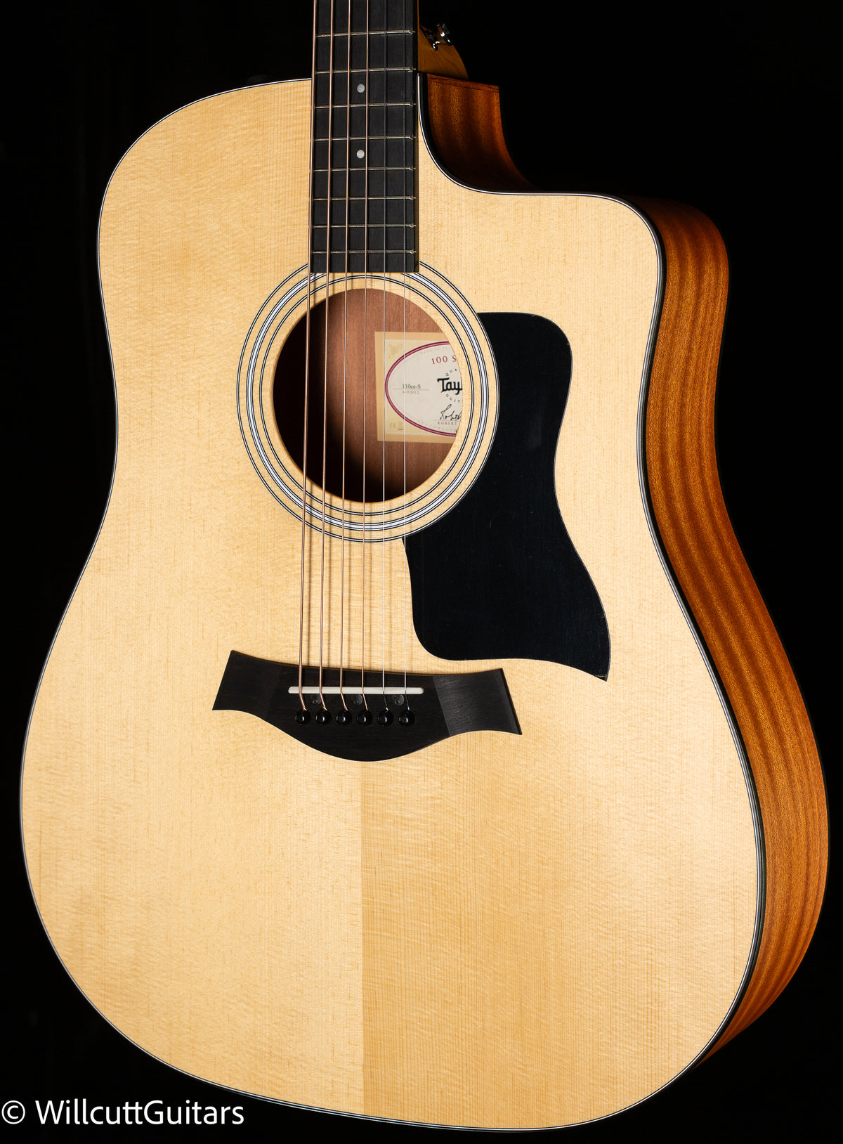 Taylor 110ce-S Sapele/Sitka (001)