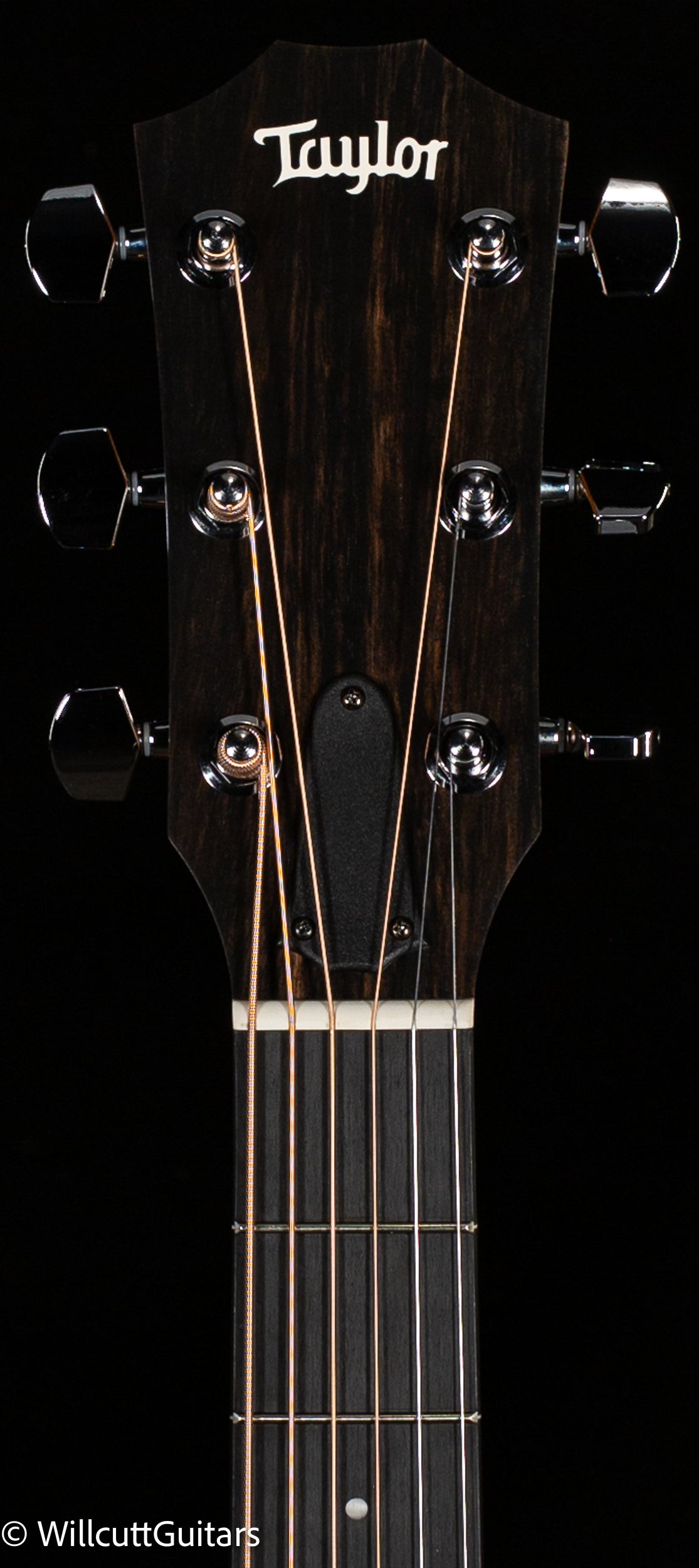 Taylor 110ce-S Sapele/Sitka (001)