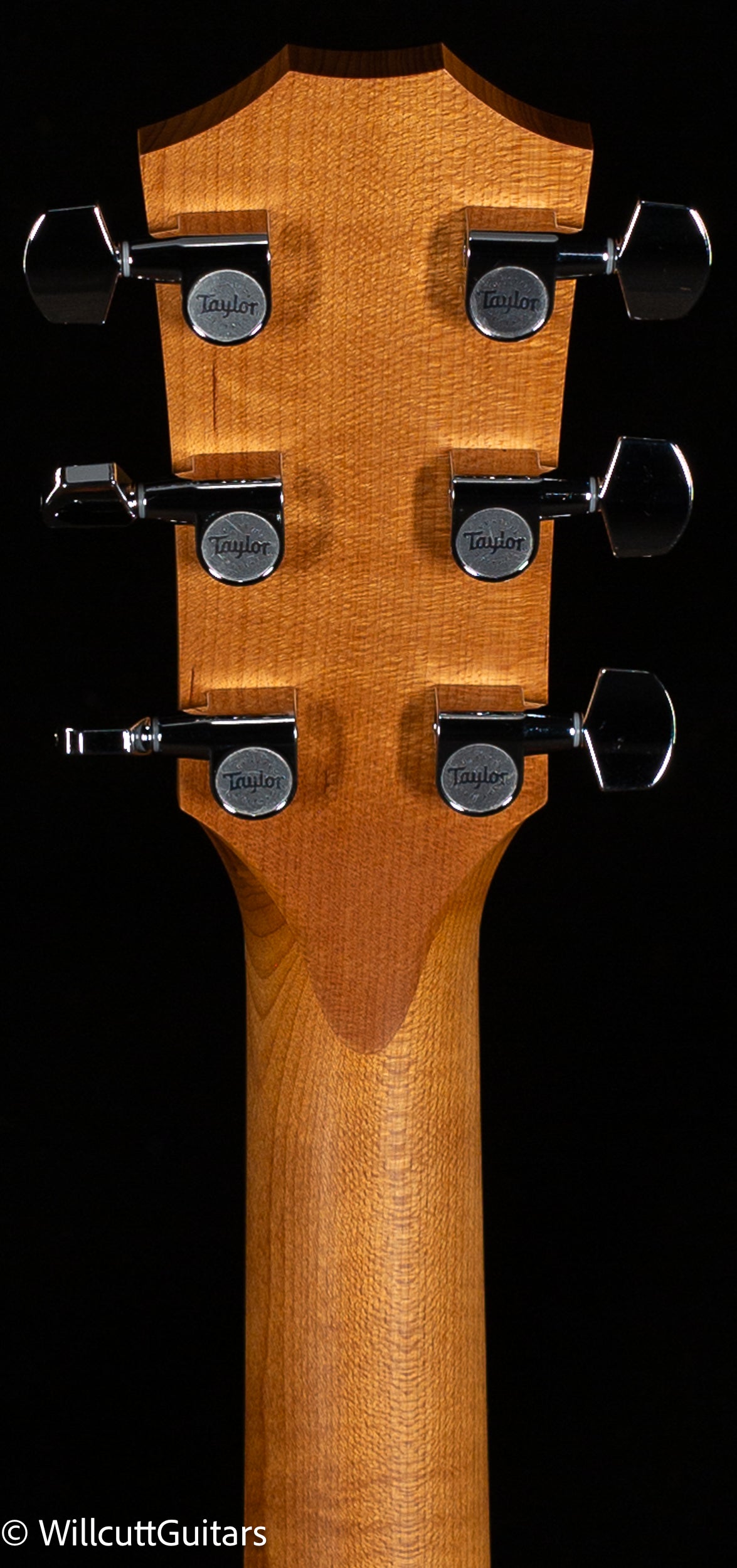 Taylor 110ce-S Sapele/Sitka (001)