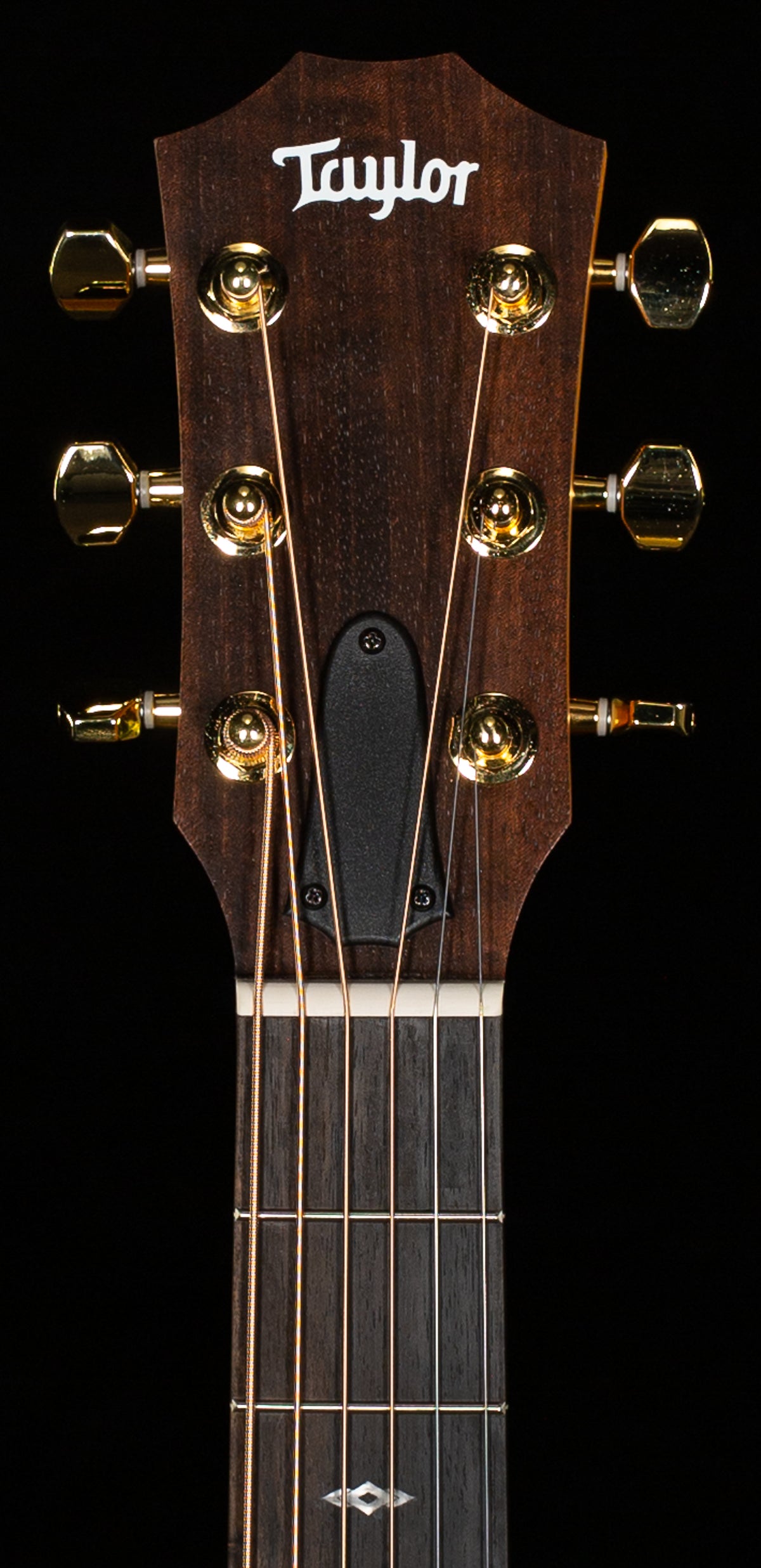 Taylor GS Mini-e Rosewood SB LTD 50th Anniversary (079)