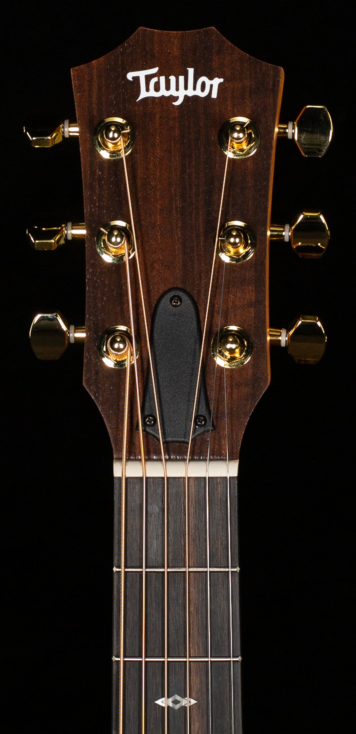 Taylor GS Mini-e Rosewood SB LTD 50th Anniversary (082)